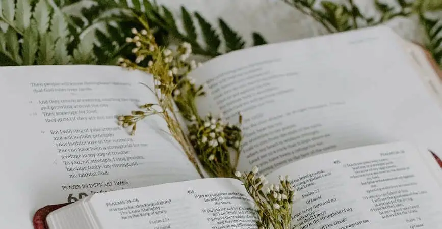 bibles with dried flower bookmarks